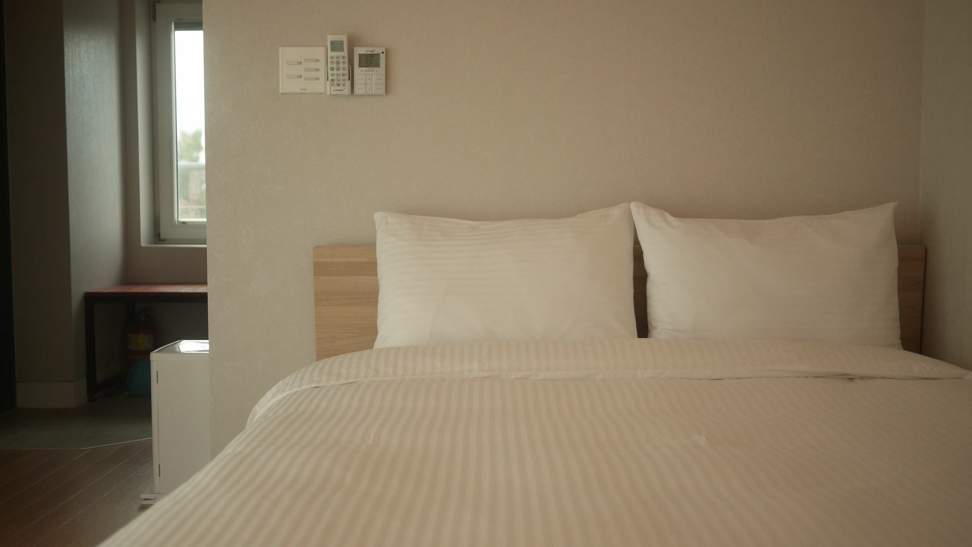 Eridu Cafe N Beds Hotell Seogwipo Exteriör bild